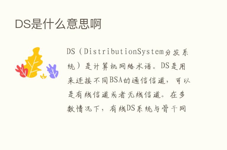 DS是什么意思啊