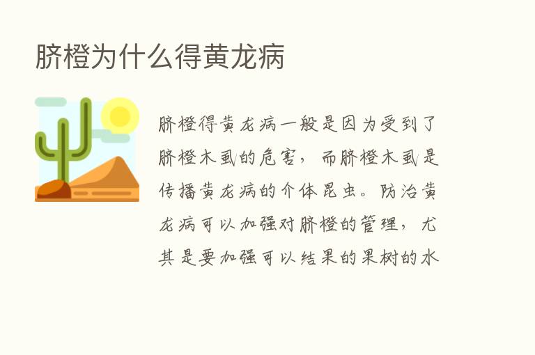 脐橙为什么得黄龙病