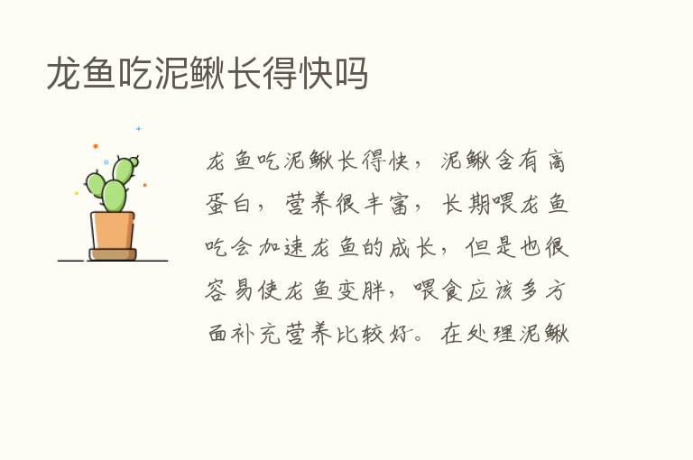 龙鱼吃泥鳅长得快吗