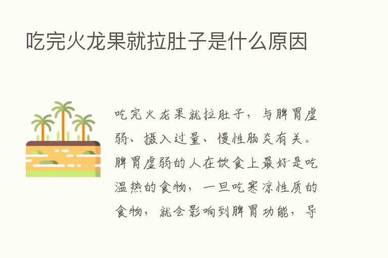 吃完火龙果就拉肚子是什么原因