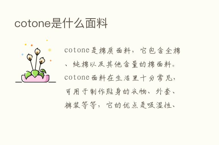 cotone是什么面料