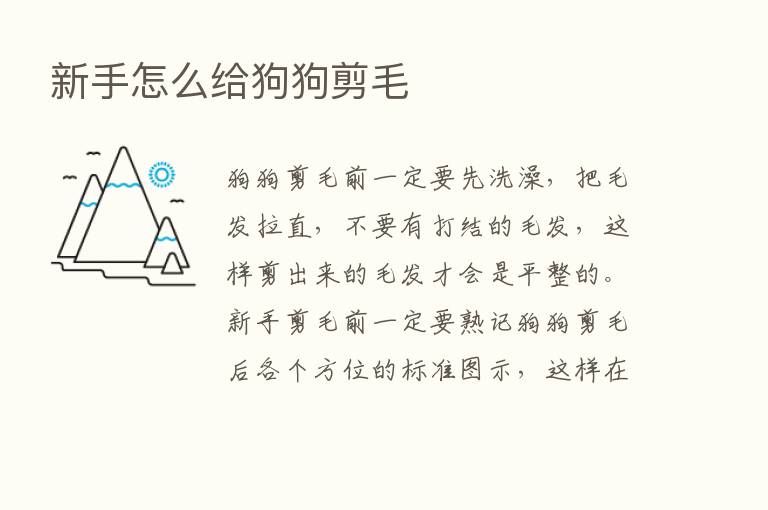 新手怎么给狗狗剪毛