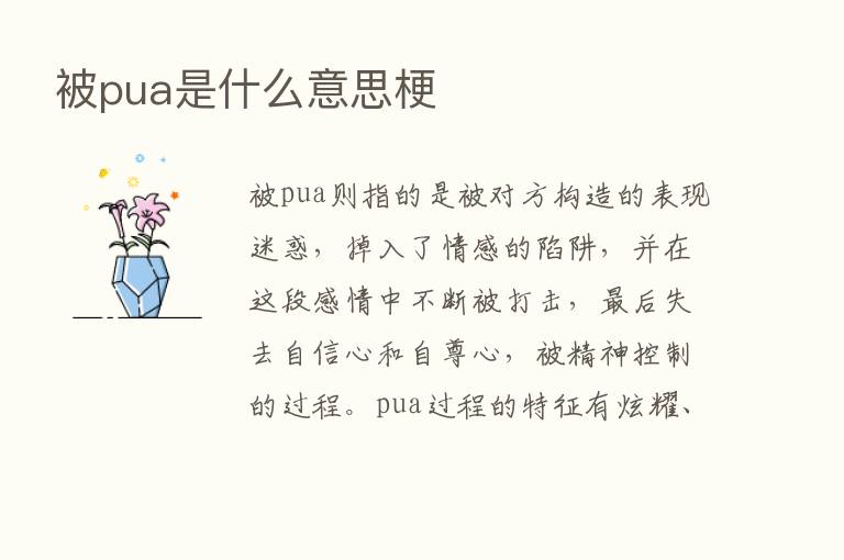 被pua是什么意思梗