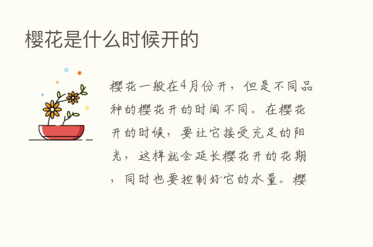 樱花是什么时候开的