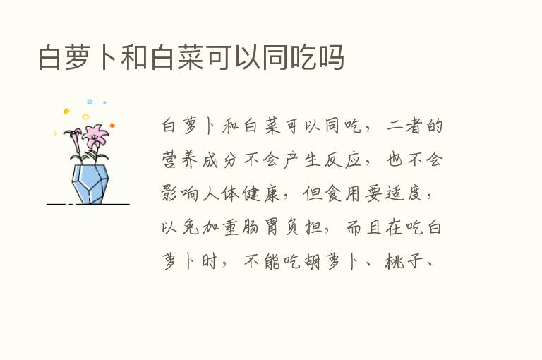 白萝卜和白菜可以同吃吗