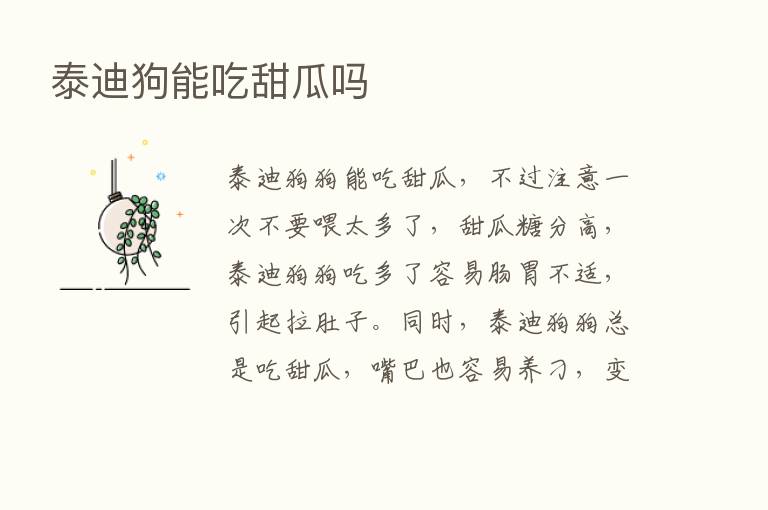 泰迪狗能吃甜瓜吗