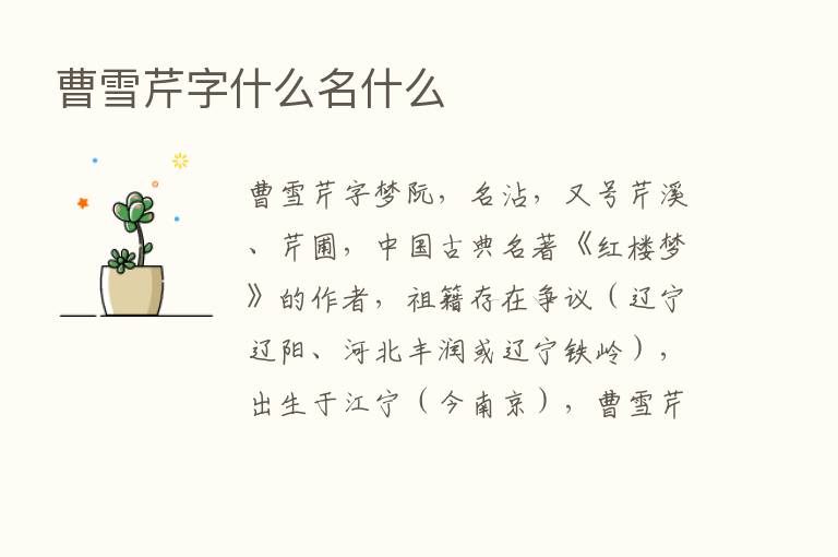 曹雪芹字什么名什么