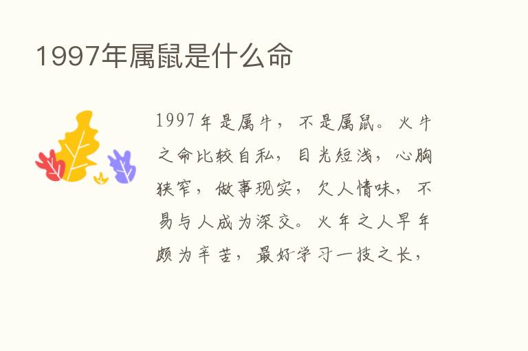 1997年属鼠是什么命