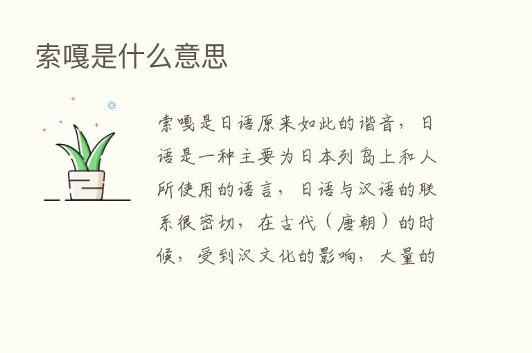 索嘎是什么意思