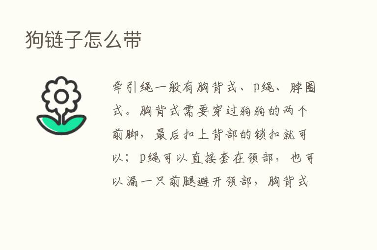 狗链子怎么带