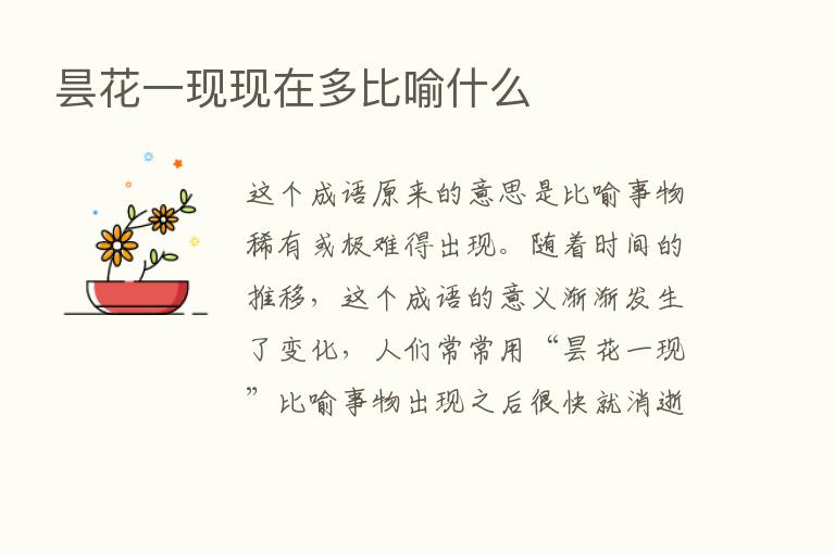 昙花一现现在多比喻什么