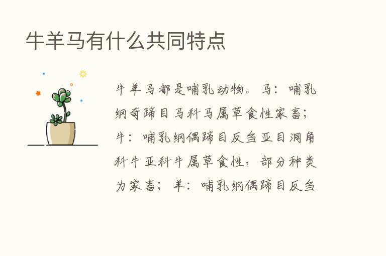 牛羊马有什么共同特点