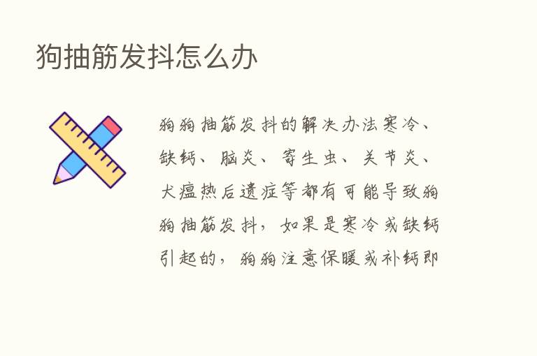 狗抽筋发抖怎么办