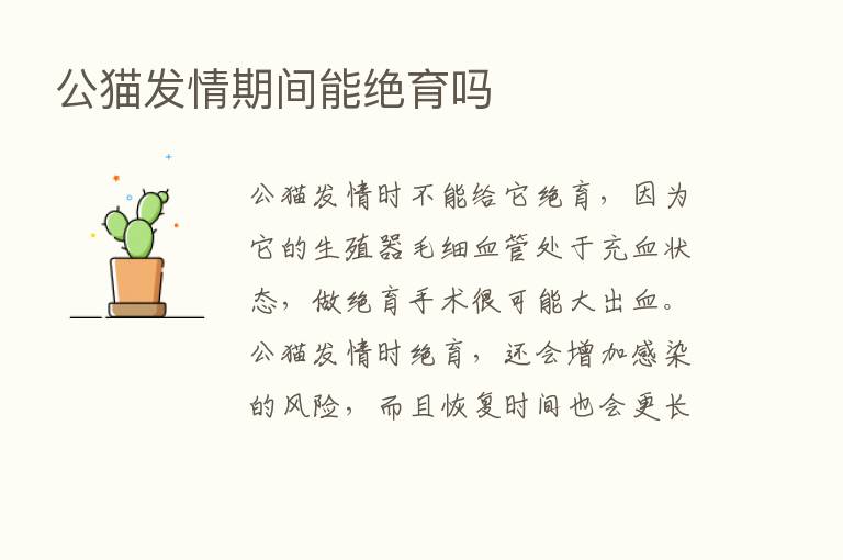 公猫发情期间能绝育吗