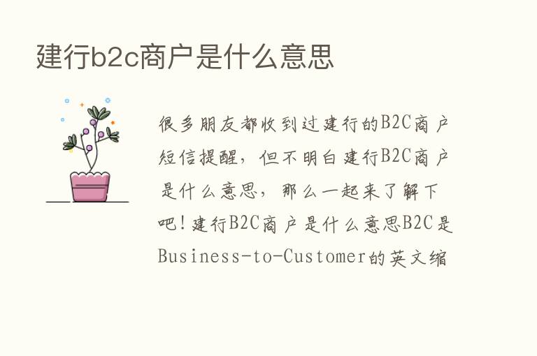 建行b2c商户是什么意思