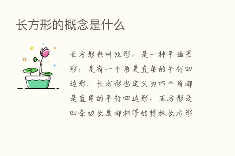 长方形的概念是什么