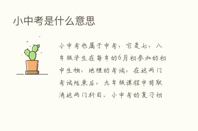 小中考是什么意思