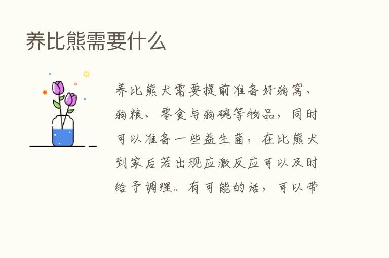 养比熊需要什么