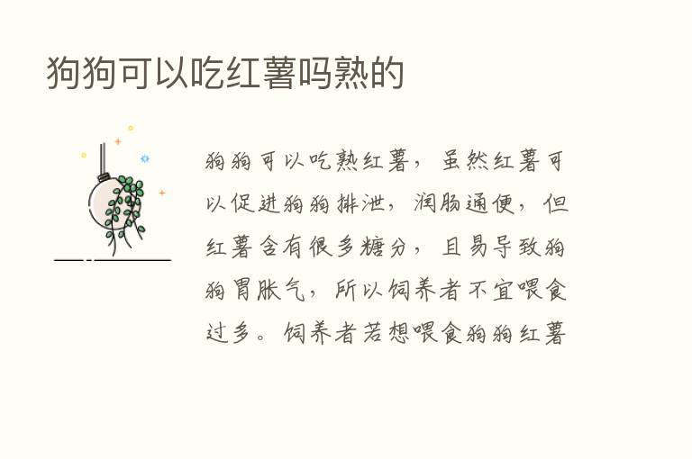 狗狗可以吃红薯吗熟的