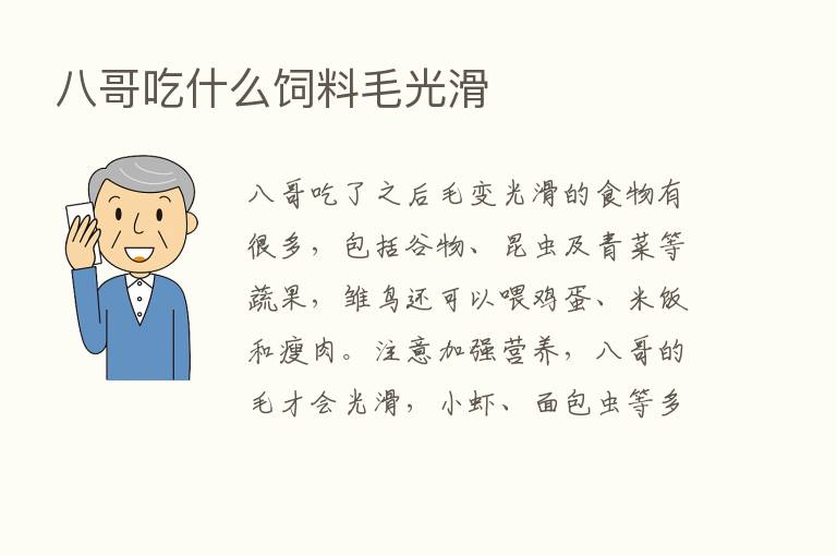 八哥吃什么饲料毛光滑