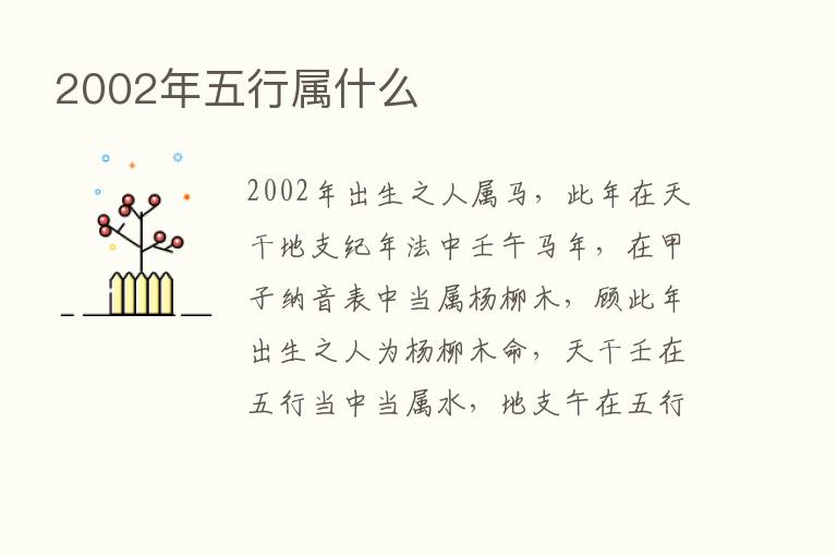 2002年五行属什么