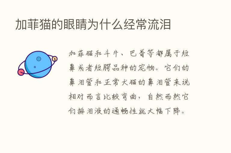 加菲猫的眼睛为什么经常流泪