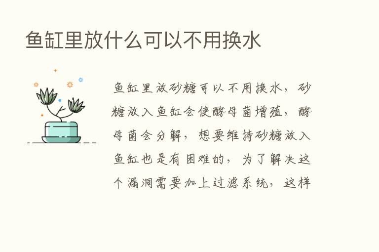 鱼缸里放什么可以不用换水