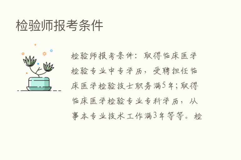 检验师报考条件