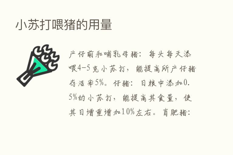 小苏打喂猪的用量