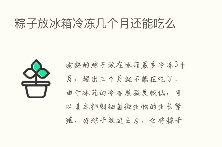 粽子放冰箱冷冻几个月还能吃么