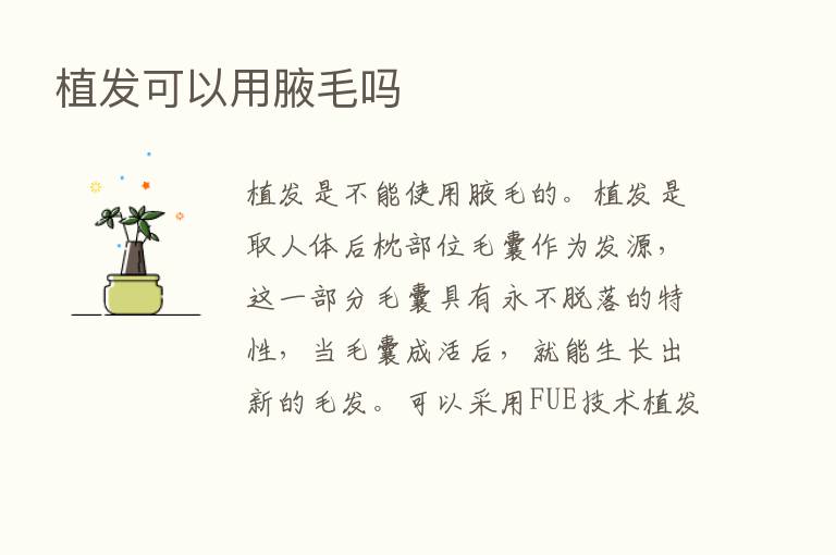 植发可以用腋毛吗