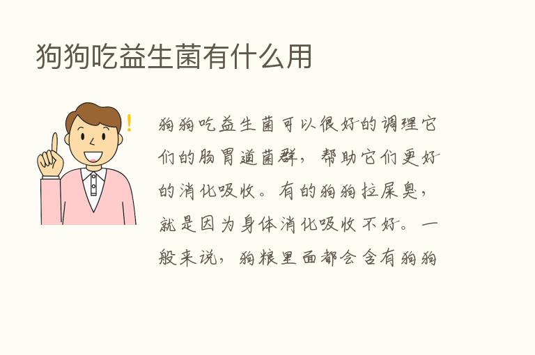 狗狗吃益生菌有什么用