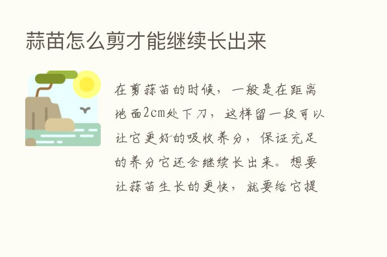 蒜苗怎么剪才能继续长出来