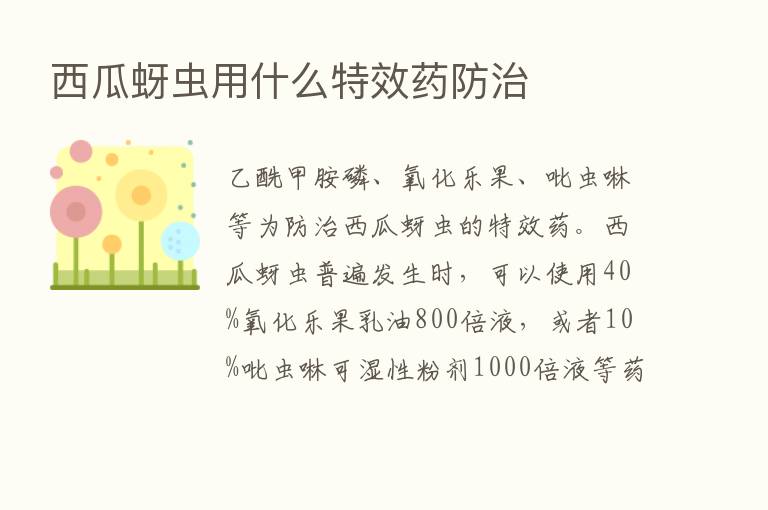 西瓜蚜虫用什么特效药防治