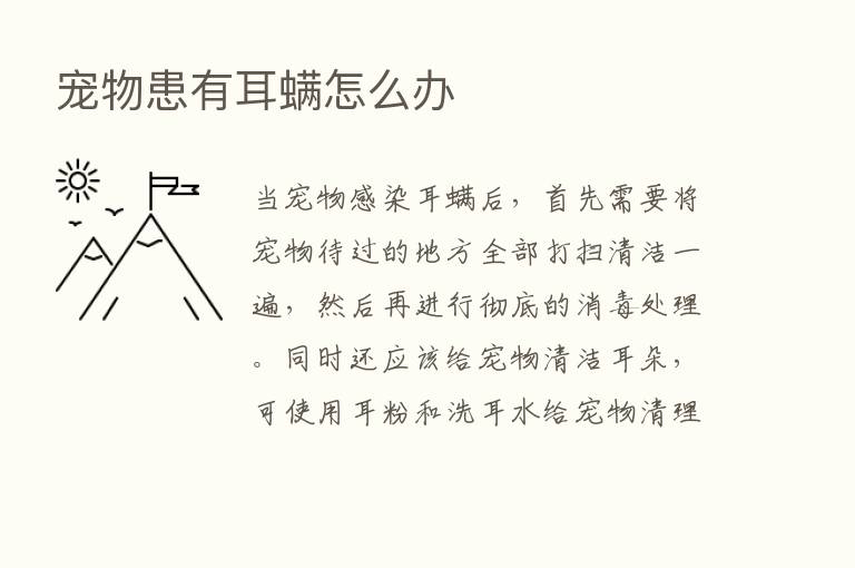 宠物患有耳螨怎么办