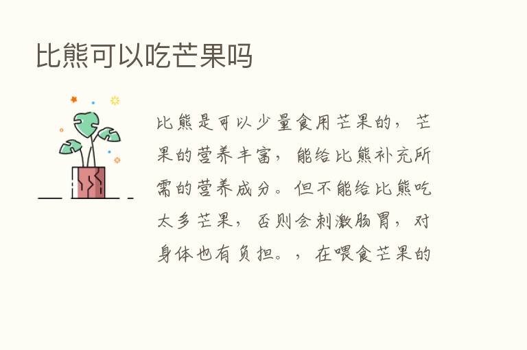 比熊可以吃芒果吗