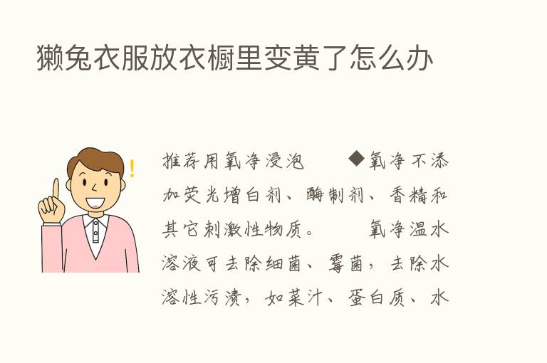 獭兔衣服放衣橱里变黄了怎么办