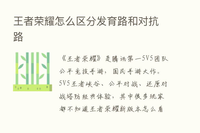 王者      怎么区分发育路和对抗路