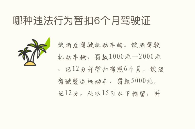 哪种违法行为暂扣6个月驾驶证