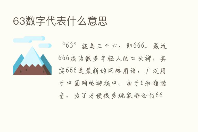 63数字代表什么意思