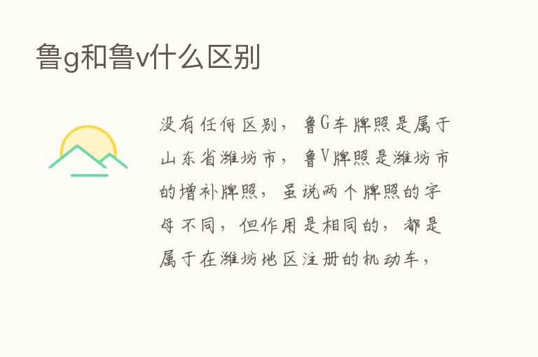 鲁g和鲁v什么区别