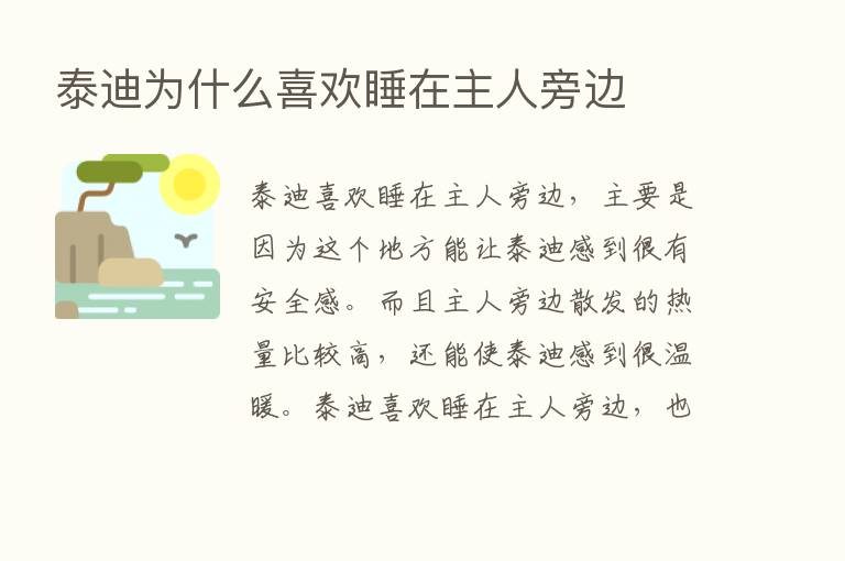 泰迪为什么喜欢睡在主人旁边