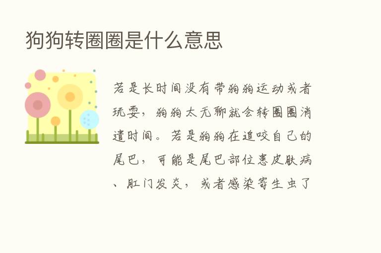 狗狗转圈圈是什么意思