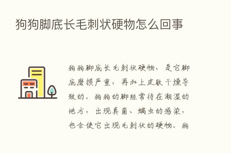 狗狗脚底长毛刺状硬物怎么回事