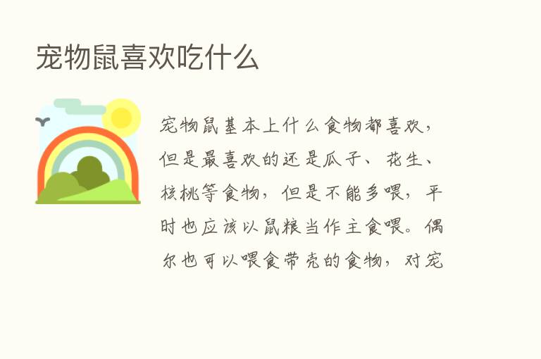 宠物鼠喜欢吃什么