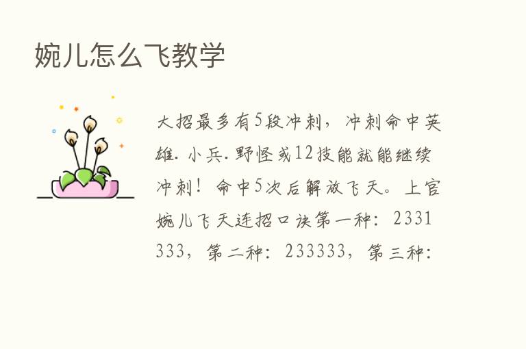 婉儿怎么飞教学