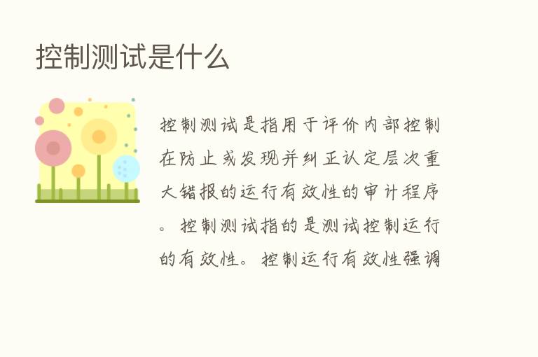 控制测试是什么