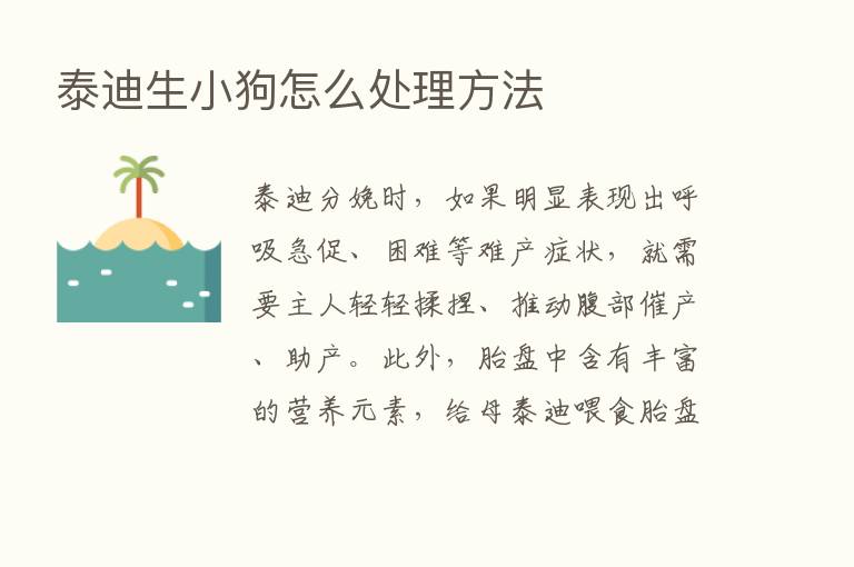 泰迪生小狗怎么处理方法