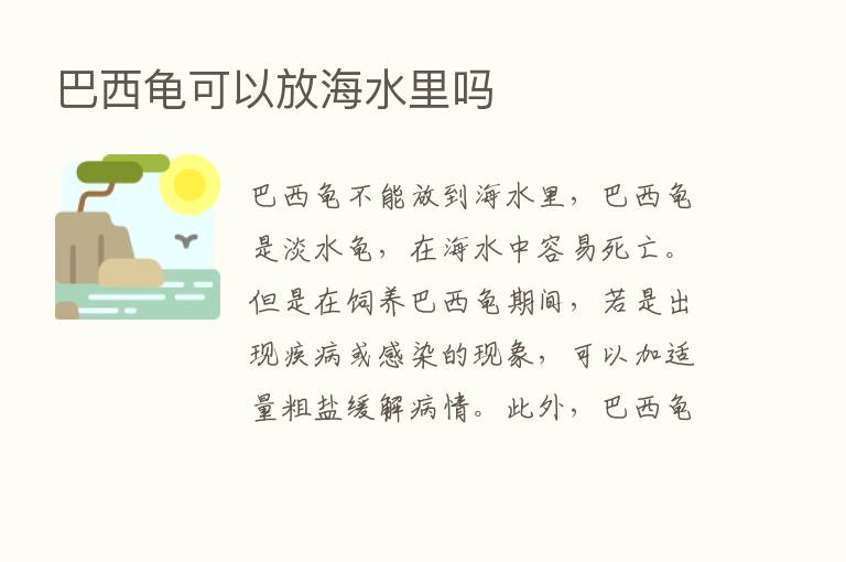 巴西龟可以放海水里吗