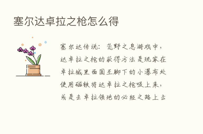 塞尔达卓拉之枪怎么得